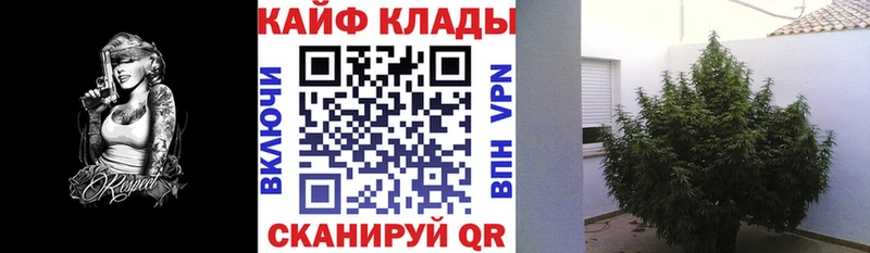 Купить наркотики сайты Инза ГАШИШ Канабис СОЛЬ Меф мяу мяу АМФЕТАМИН КОКАИН