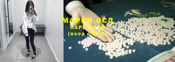 mdpv Заводоуковск