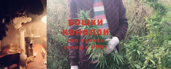 mdpv Заводоуковск