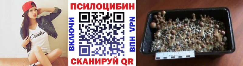 blacksprut как войти  Инза  Галлюциногенные грибы GOLDEN TEACHER 