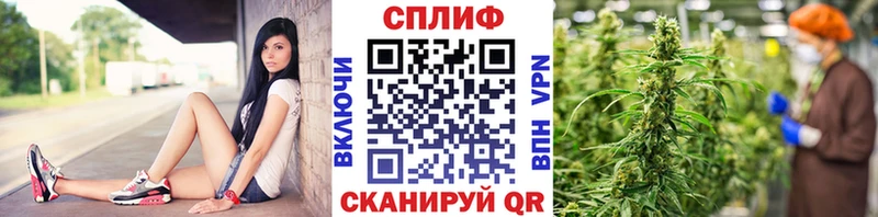 блэк спрут зеркало Инза Канабис VHQ